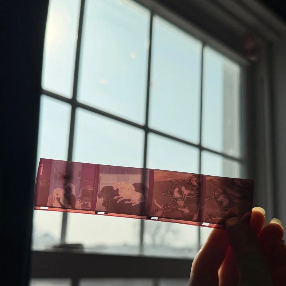 Vintage Film Negatives